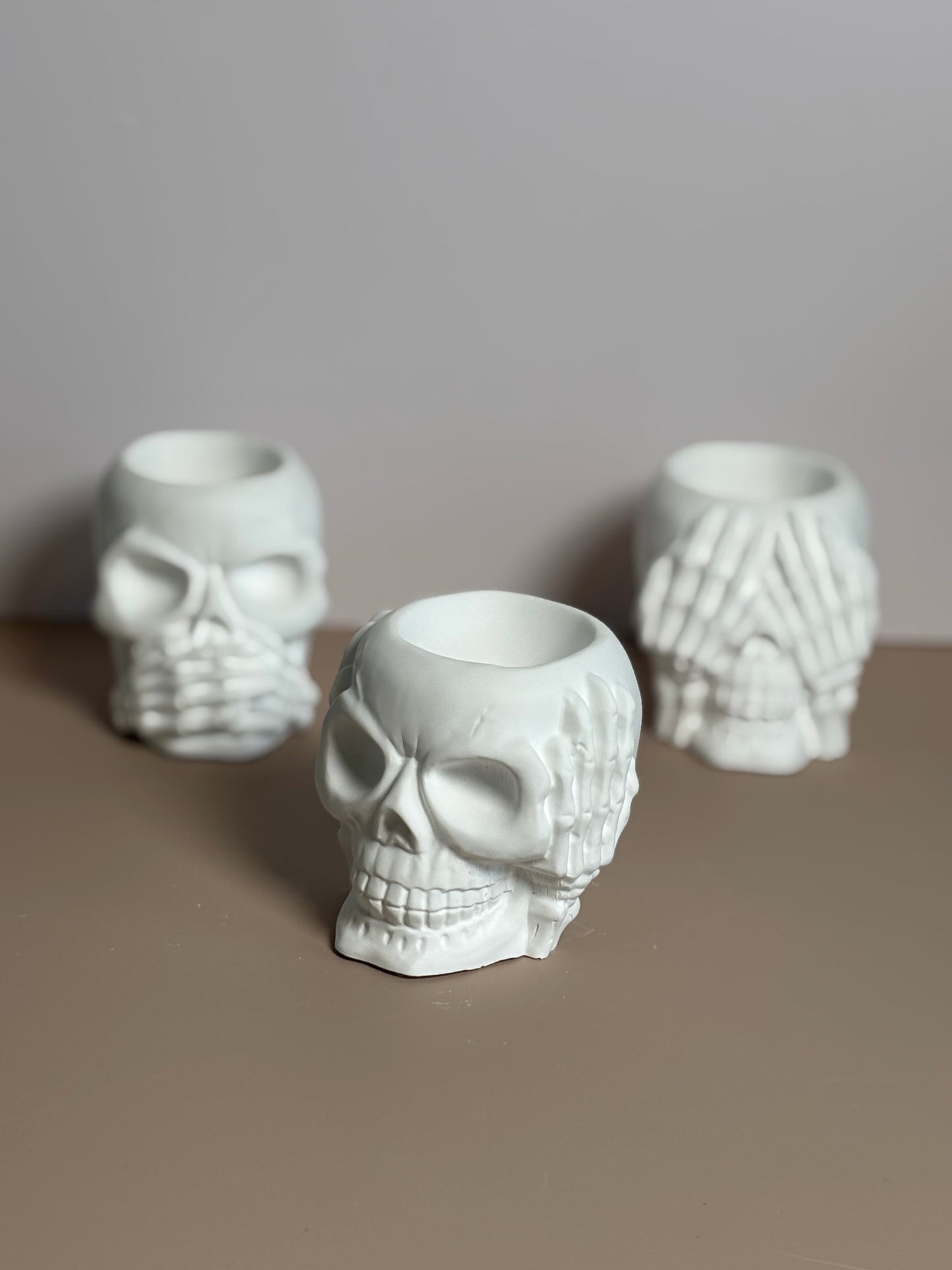 Eco-Resin Skull Jar Planters – Spooky Chic Décor